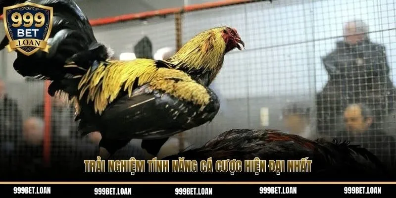 Trải nghiệm tính năng cá cược hiện đại nhất