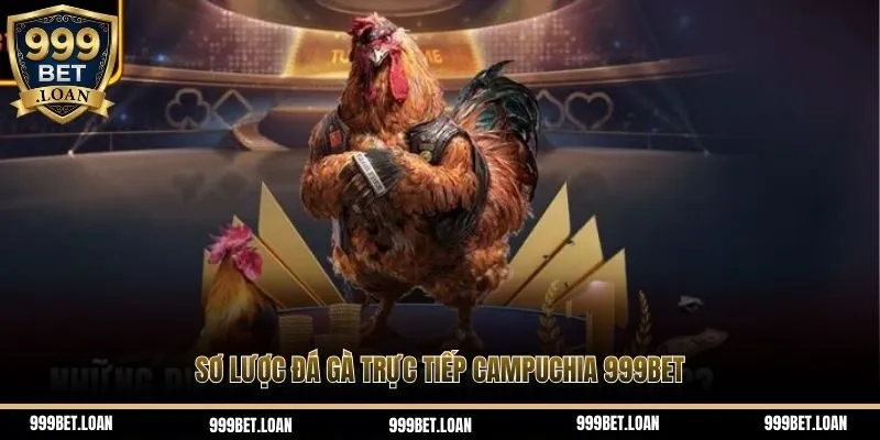 Sơ lược đá gà trực tiếp Campuchia 999bet